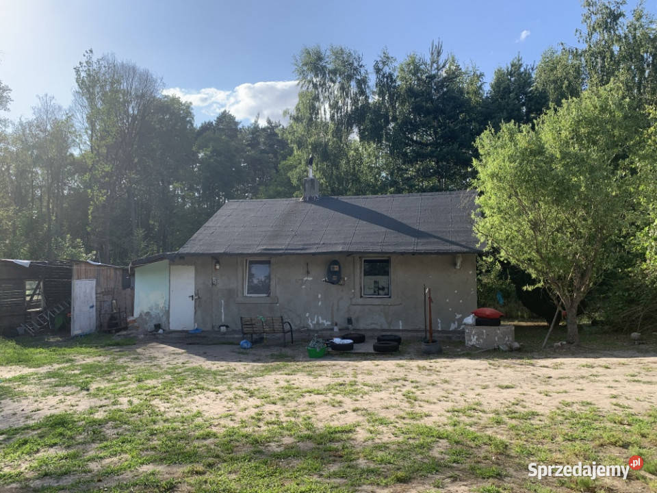 Dom w środku lasu Nowy Redzeń sprzedam