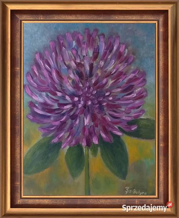 Obraz olejny Koniczyna Lublin