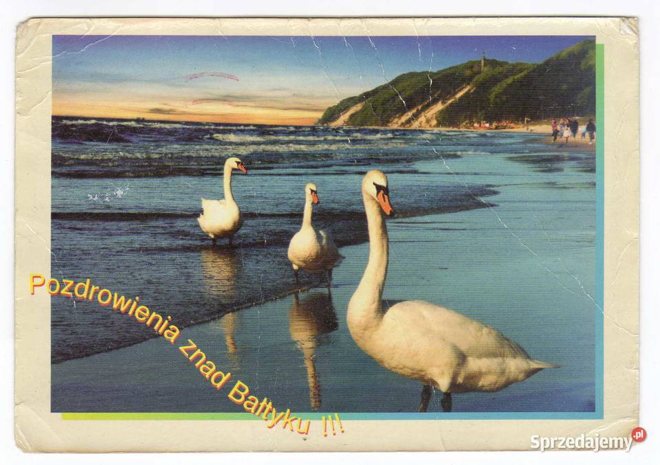 MORZE BAŁTYCKIE 10 Krynki sprzedam