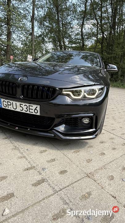 Bmw 428i xDrive Luxury Line Pakiet Maxton Seria 4 Połczyn-Zdrój