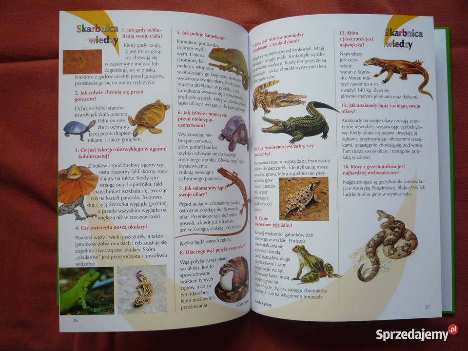 NOWA Książka Królestwo zwierząt Skarbnica wiedzy dla dzieci z klas I-III (6-9 lat)  Szczecin