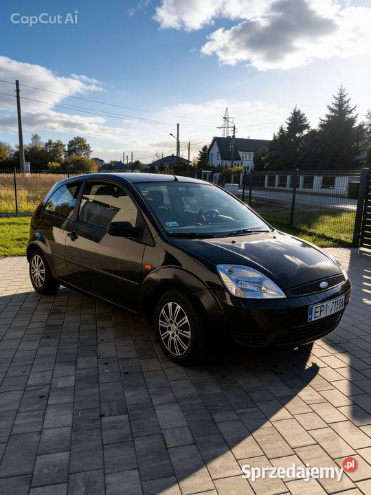 Ford Fiesta mk6 Piotrków Trybunalski