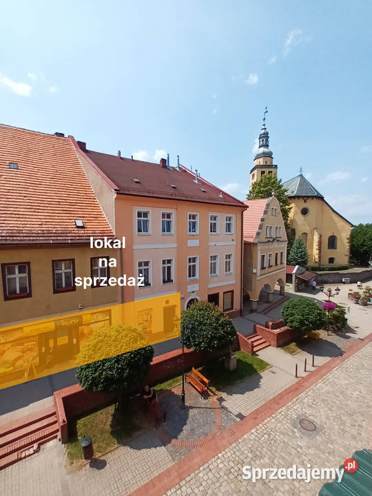 Lokal użytkowy 99m Centrum Bezpośrednio Karpacz