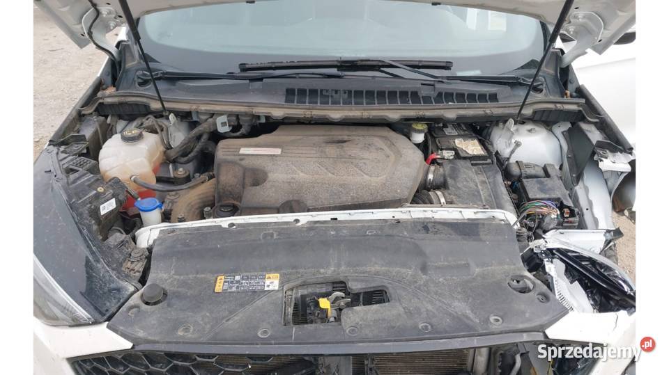 ST 4x4 27L V6 benzyna moc 340 automat KUPIONY w Siedlce