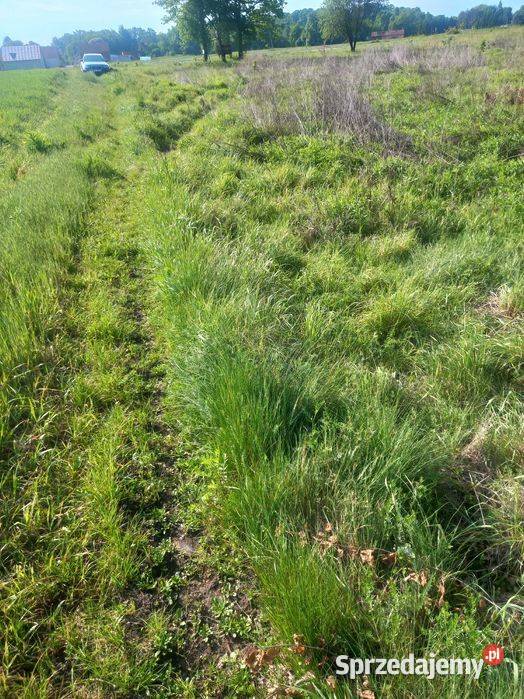 Działka budowlana budowlana dolnośląskie Nawojów Łużycki sprzedam