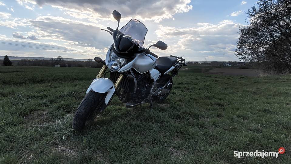 Honda Hornet CB600f Rzeszów
