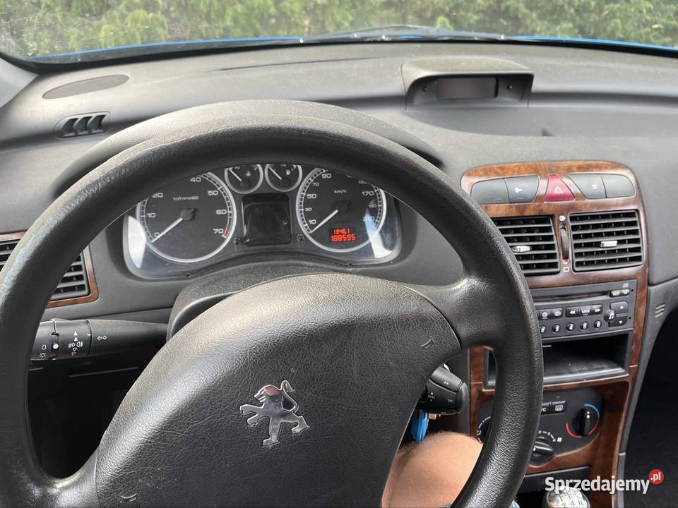 Peugeot 307 2004 16 benzyna 110