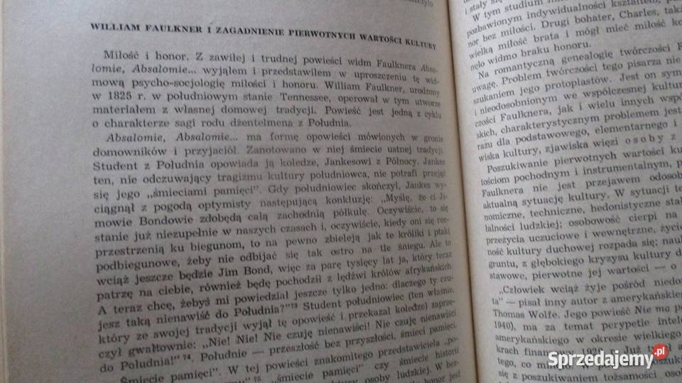Kultura amerykańska Józef Hałasińskisocjologia