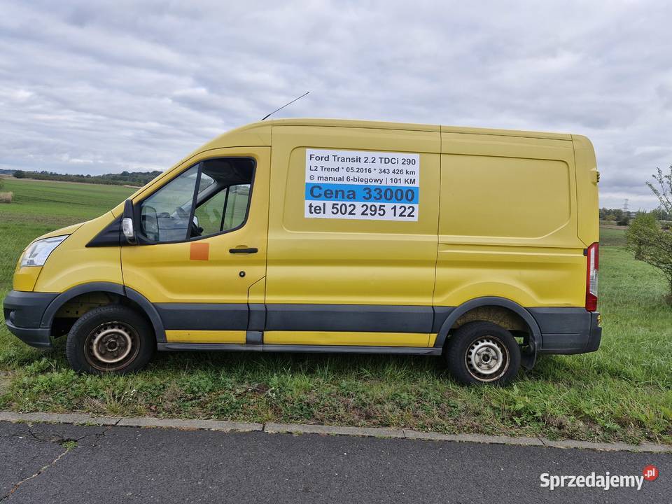 Ford Transit 290 L2 Trend z 2016 r 22 TDCI Opole