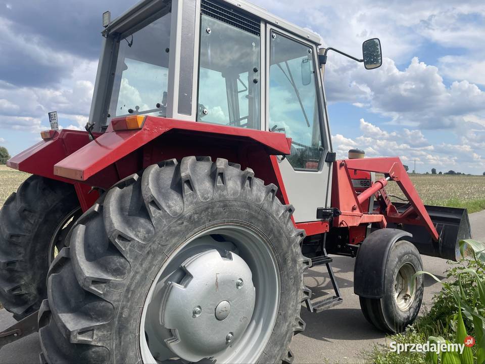 Massey Ferguson 690 Turbo z turem Grabów