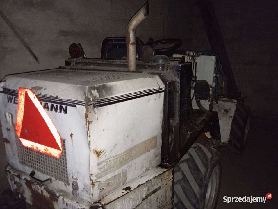 Weidemann 2002 Szczuka