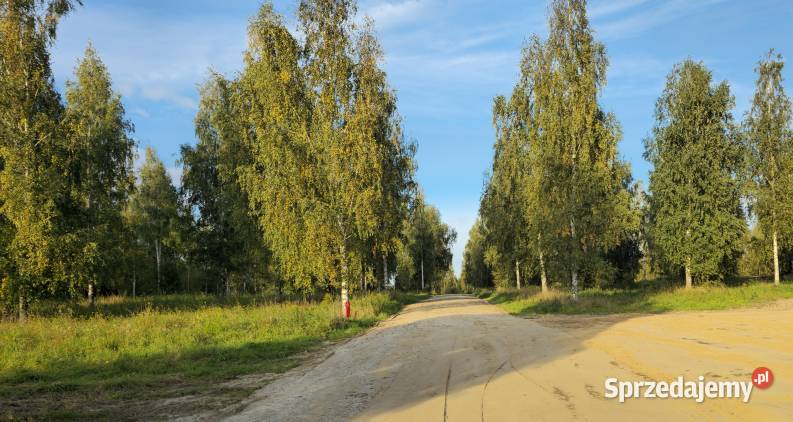 Dzialka Budowlana Osada Brzozowa Dolina 232zł/m2 Ogonki