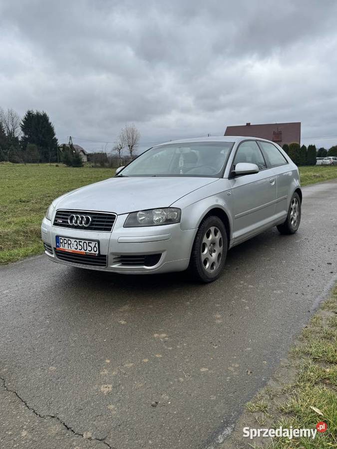Audi A3 8P 16 MPI Krosno