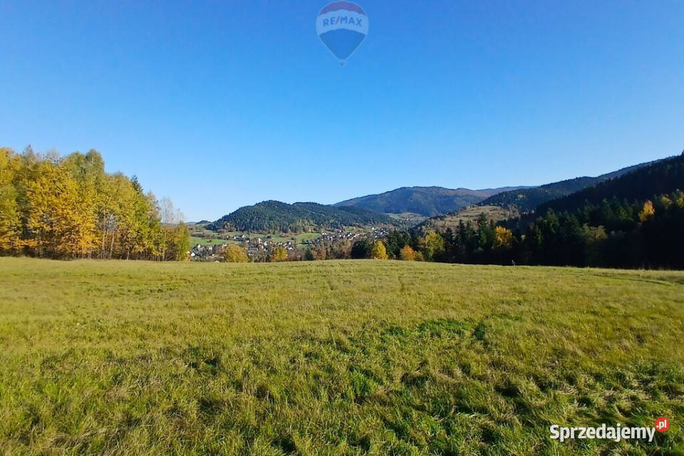 Działka Poręba Wielka rolna