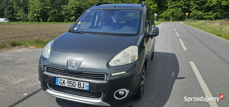 Peugeot Partner 16 Hdi 92 160 II 2008 Pleszew