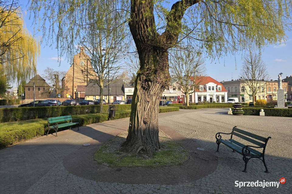Wygodne mieszkanie w centrum Pobiedzisk z Pobiedziska