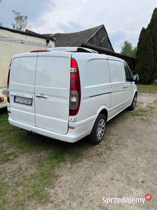 Mercedes Vito Chłodnia Jasień