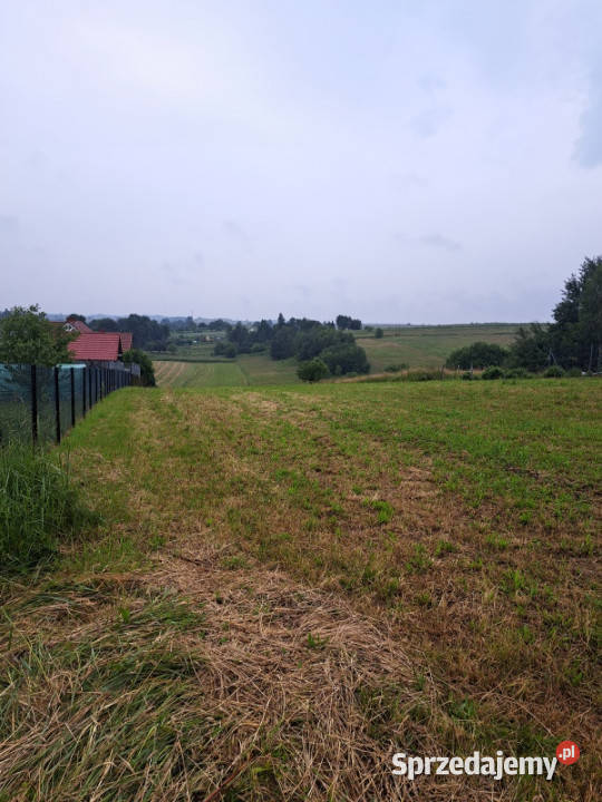 Działka Jerzmanowice Przeginia bezpośrednio 64zł/m2 małopolskie