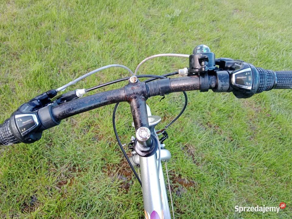 Sprzedam rower Carina Rayon Pińczów