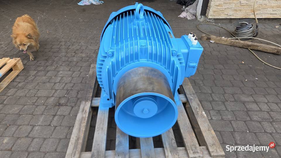 Silnik Elektryczny AEG 110 kW pomorskie Karsin