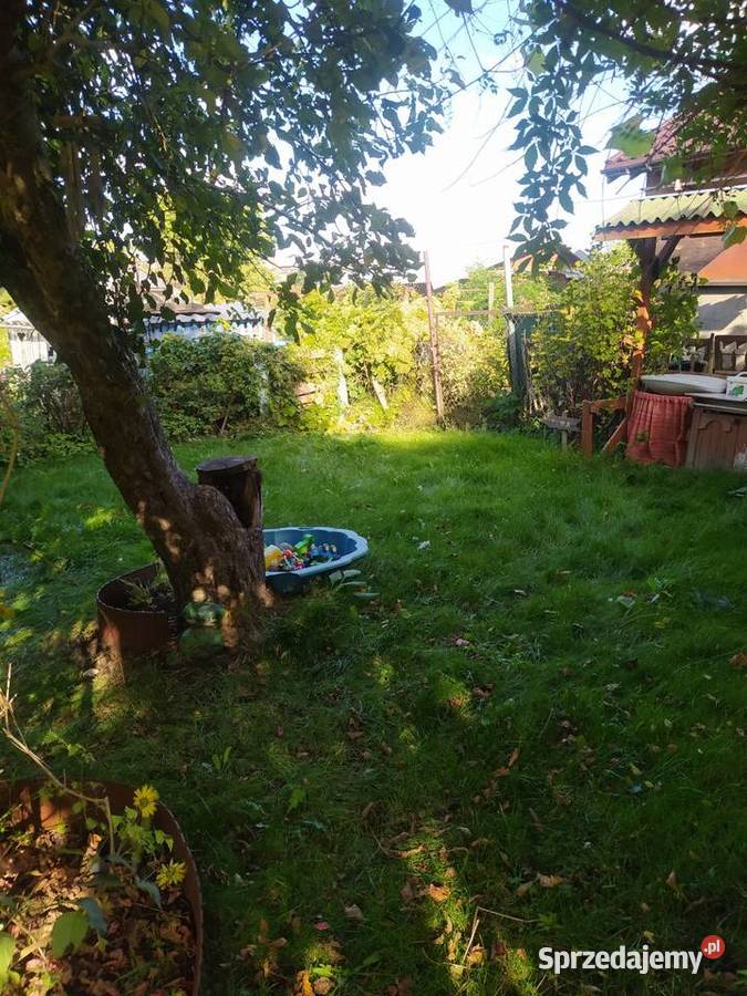 Działka ROD warmińsko-mazurskie Olsztyn sprzedam