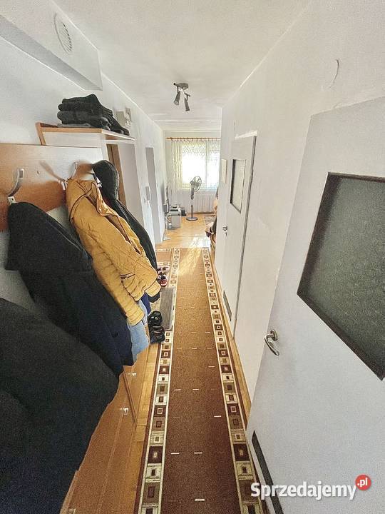 Sienkiewicza 3 pokoje 2 balkony 6520 m2 13000zł/m2 Wrocław