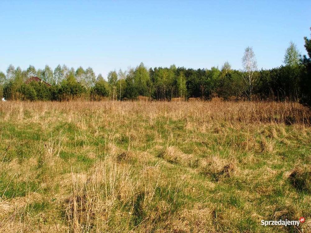 działkę budowlaną 1270 m2 w m Marylka gm Tarczy mazowieckie Marylka