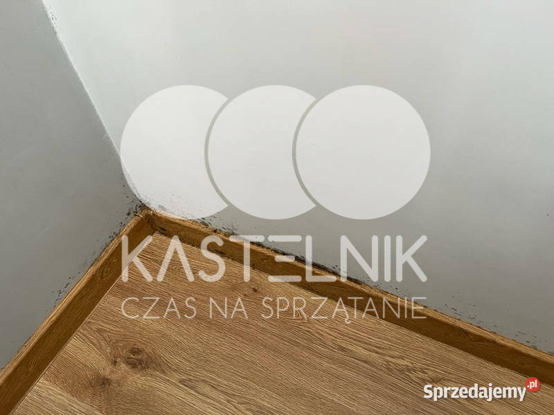 Ozonowanie pomieszczeń Lubsko dezynfekcja biura