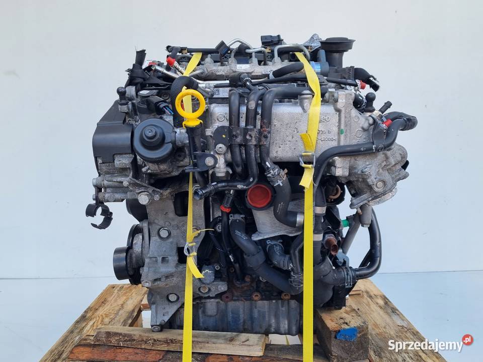 SILNIK KOMPLET Skoda Octavia III 16 TDI 105 osobowe lubelskie Rudka