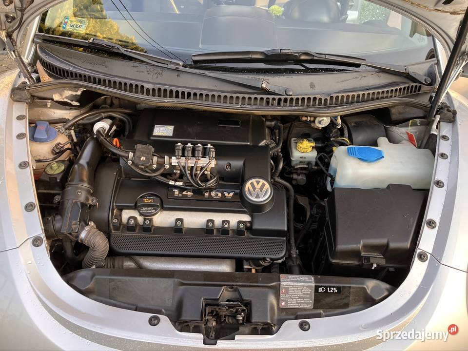 VW Beetle 14 16V benzyna LPG New Beetle kujawsko-pomorskie