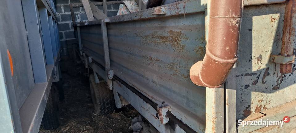 Rozrzutnik obonika Wrocław