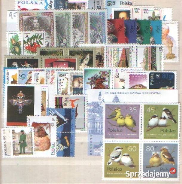 Zn Rocznik 1995 śląskie Gliwice