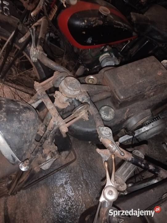 Sprzedam terrota h Pozostałe Gostycyn