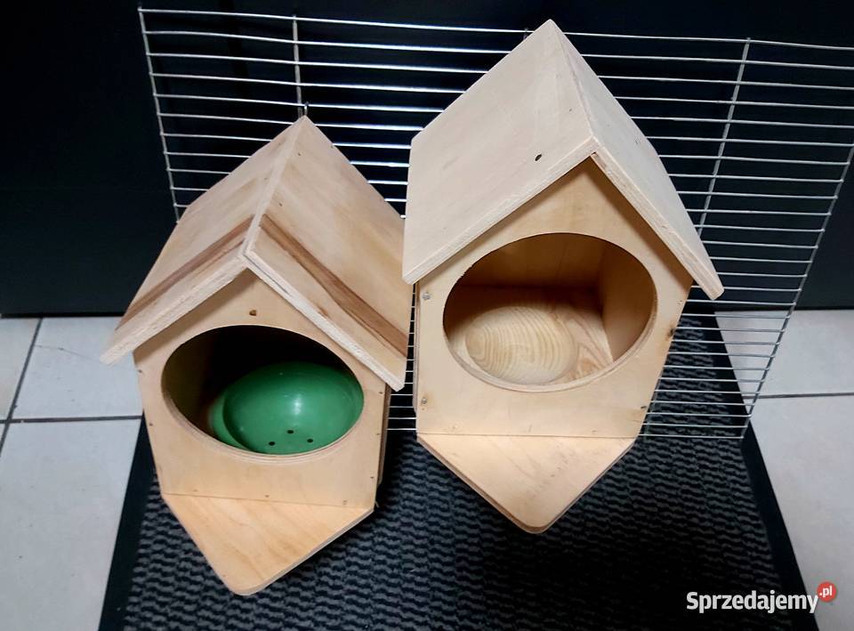 gpłągka diMENTOWEGO I INNE Rybnik