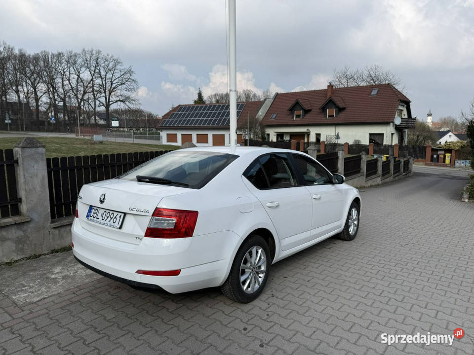koda Octavia 12 Tsi 105 ładna świeżo Bolesławiec