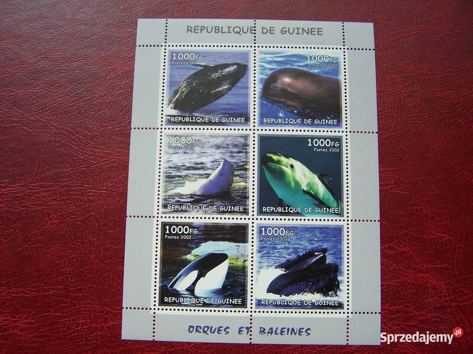 Gwinea 2002 MNH Fauna Życie Morskie Wieloryby Antyki, Sztuka, Kolekcje śląskie Tychy sprzedam