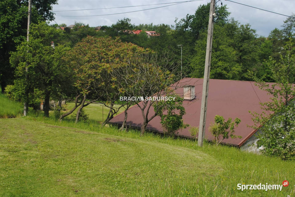 Działka Łazany 15200m2