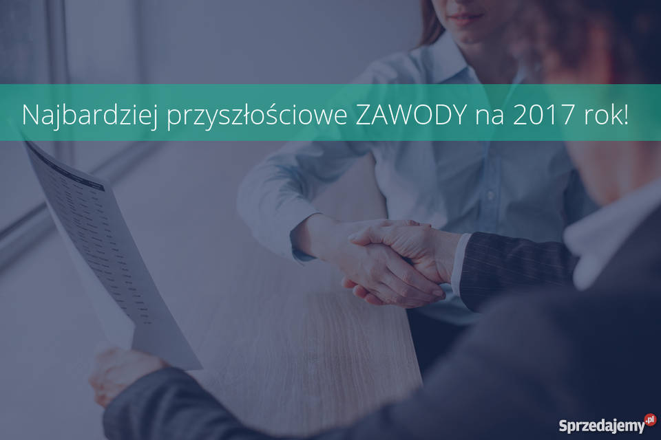 Projektowanie i Tworzenie stron pozycjonowanie Usługi reklamowe Jędrzejów