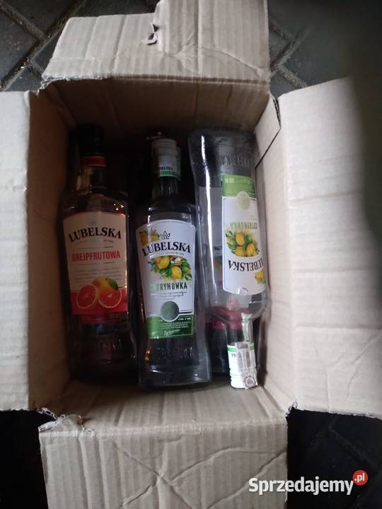 BUTELKI lubelska OK 10 SZTUKI ZESTAW Rybnik