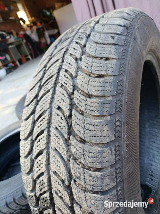 Opony zimowe Frigo 2 zima Brzóza Królewska