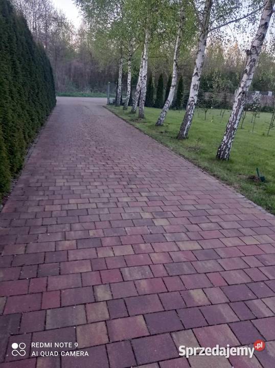 Sprzedam dom Gostynin Lucień Helenów Płock Kutno