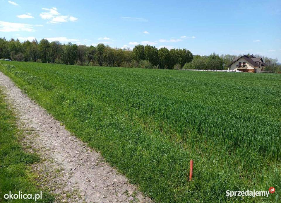 Dzialka niedaleko Rzeszowa Sędziszów Małopolski