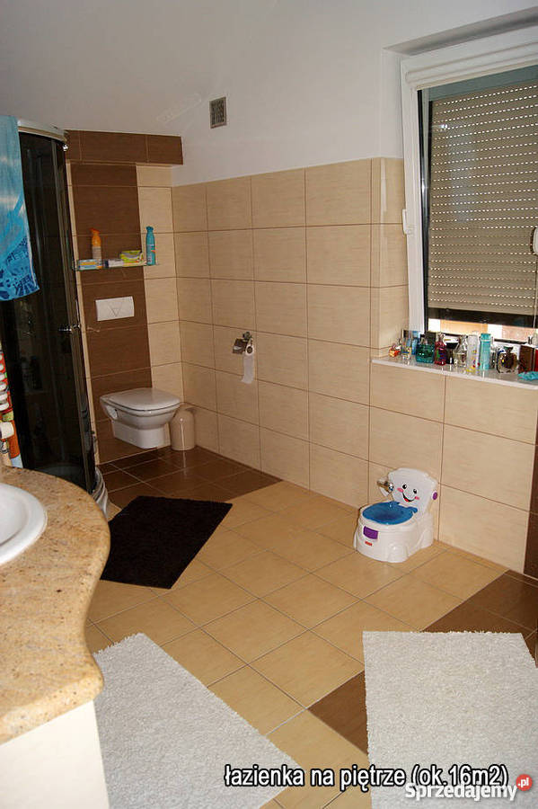 DOM 300M2 sprzedam DZIALKA 17000M2 Domy warmińsko-mazurskie Pisz