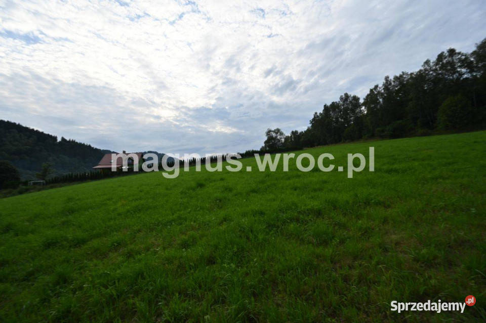 działka budowlana w Ludwikowicach 100zł/m2 Ludwikowice Kłodzkie