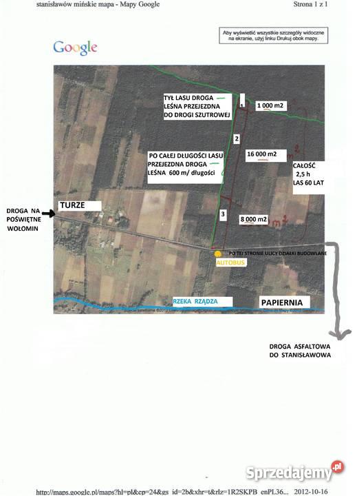 LAS 25 000 m2 STANISŁAWÓW TURZE PAPIERNIA Stanisławów