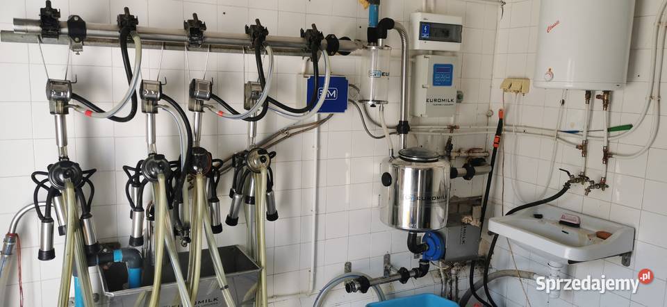 Dojarka przewodowa zbiornik Zwierzyniec Mały