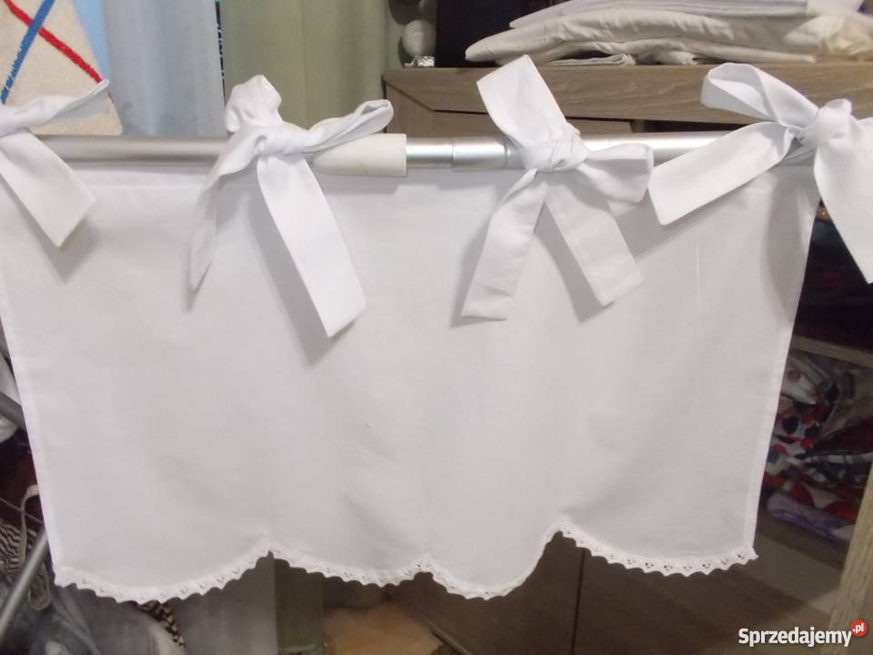 zazdroski na troczkach Włocławek