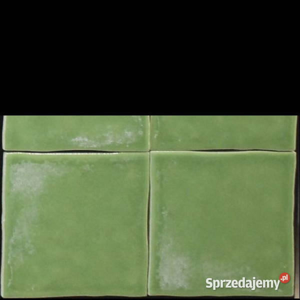 Arlekinada zielona 10 x 10 Cerkolor aktualne Białogard