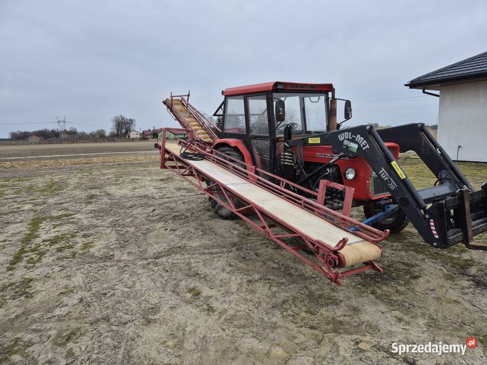 Podajnik Taśmociąg do Zbioru Warzyw Brzozów Stary
