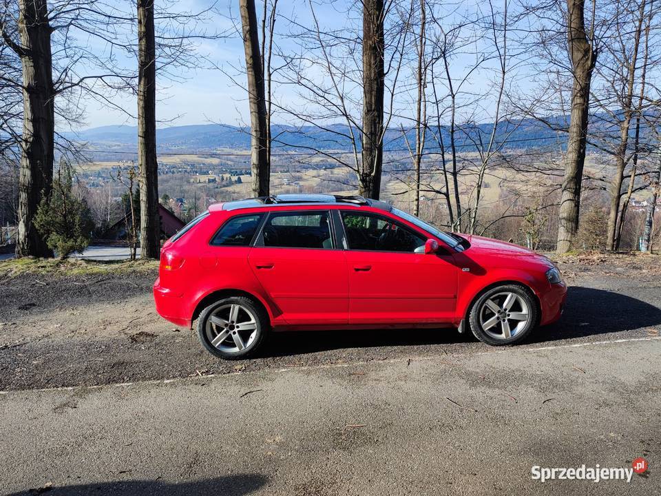 Audi A3 QUATTRO 2O TDI 140 2006 Panorama Ślemień